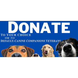 Donation To