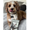 Treat-Meat Treat Original